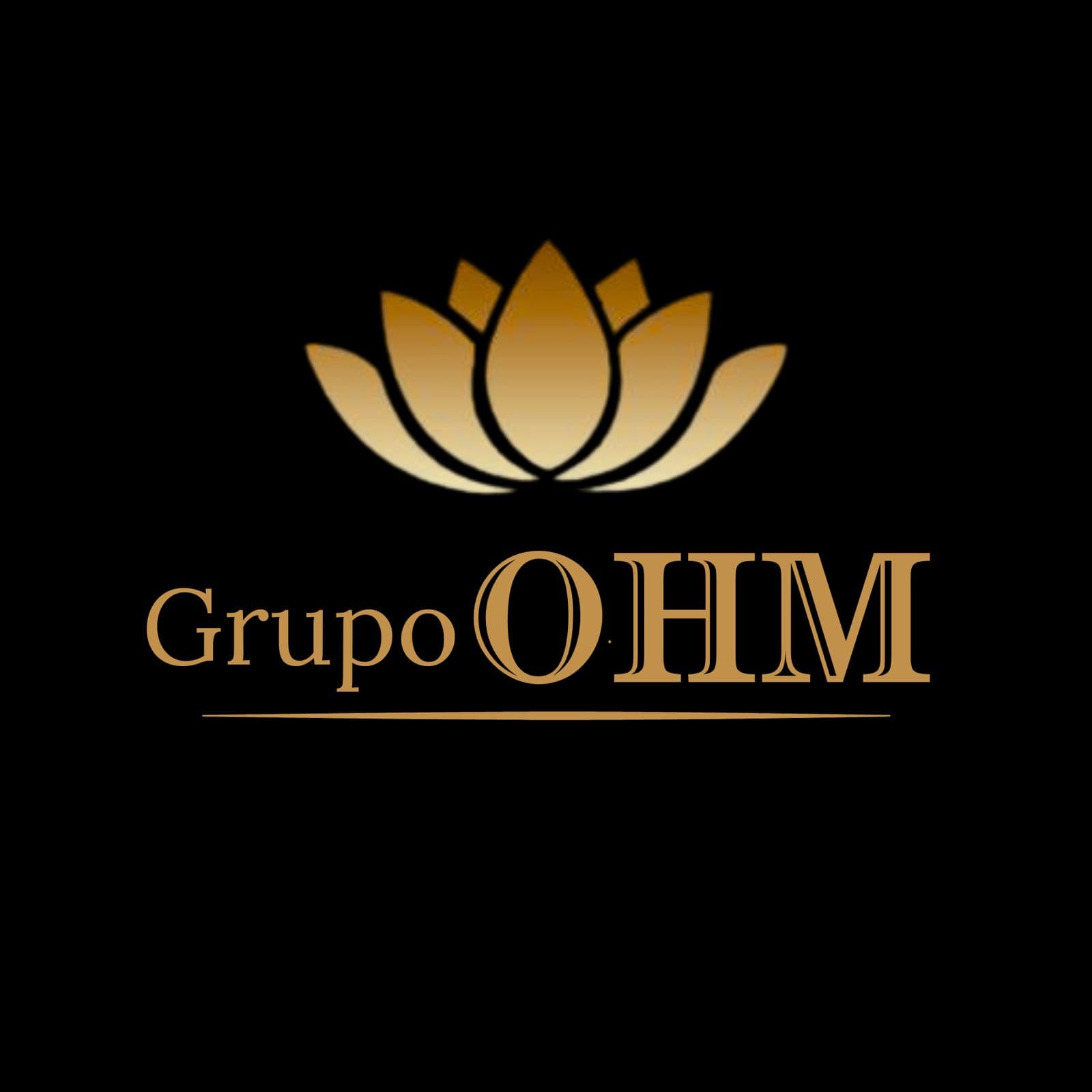 Grupo OHM
